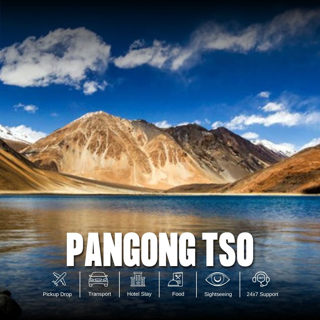 Pangong Tso Tour Package